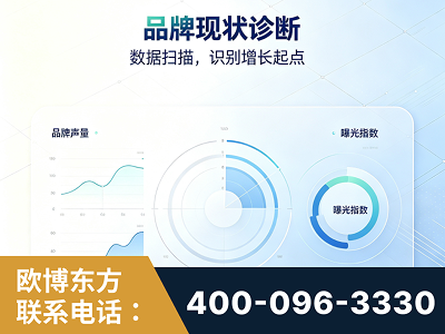 莱州-品牌现状诊断