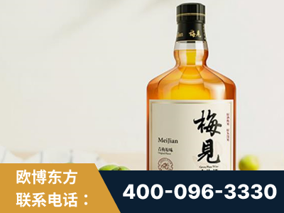 莱州-梅见青梅酒
